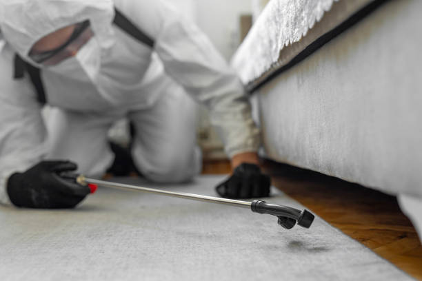 Professional Termite Control technician working in Lopezville, TX